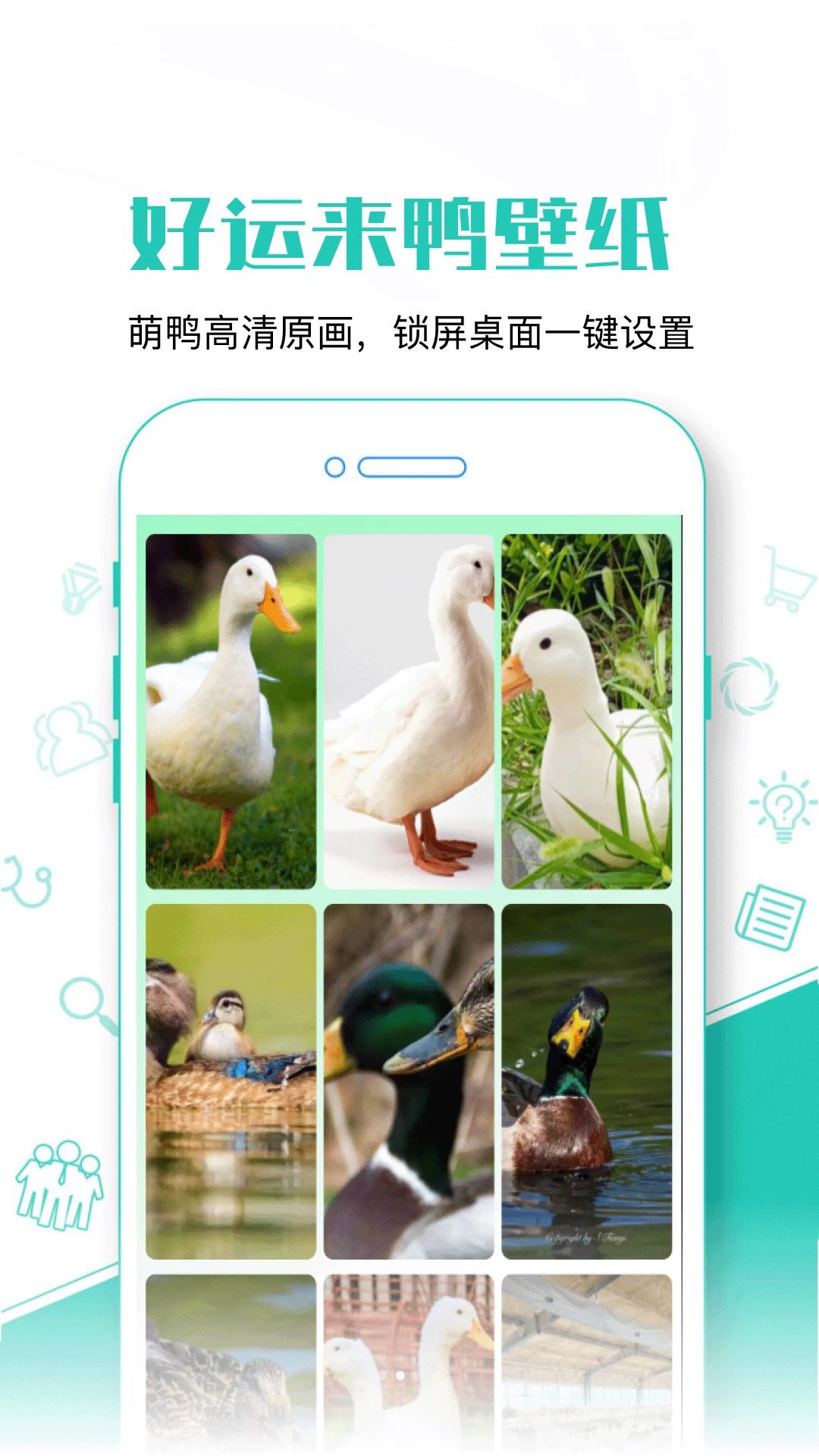 好运来鸭